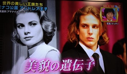 東京で世界一周 2 世界の美しい王族たち ネプ イモトの世界番付