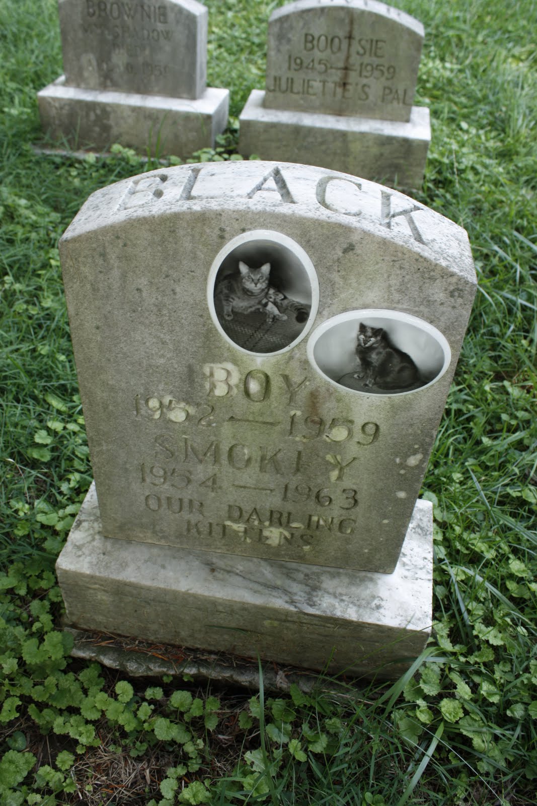 Grave Images A real pet cemetery in Maryland