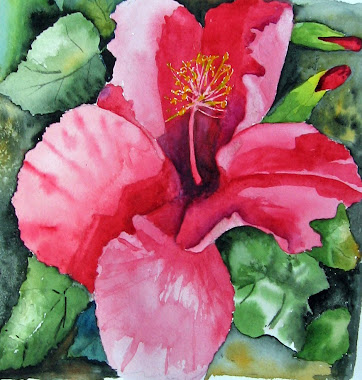 Hibiscus