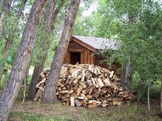 Firewood