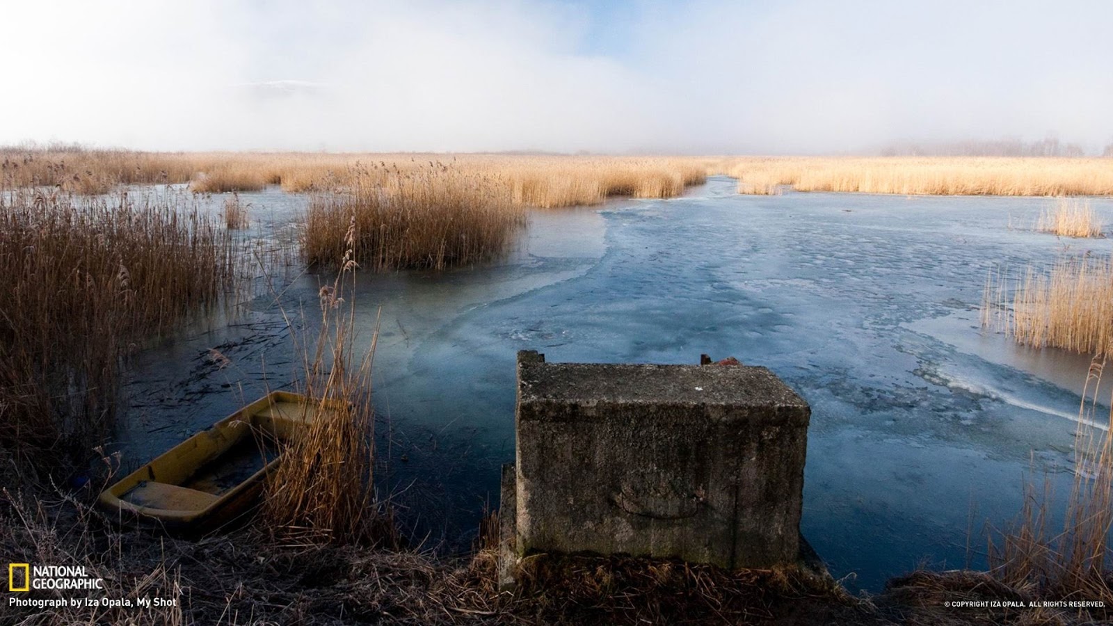 National Geographic - YouTube