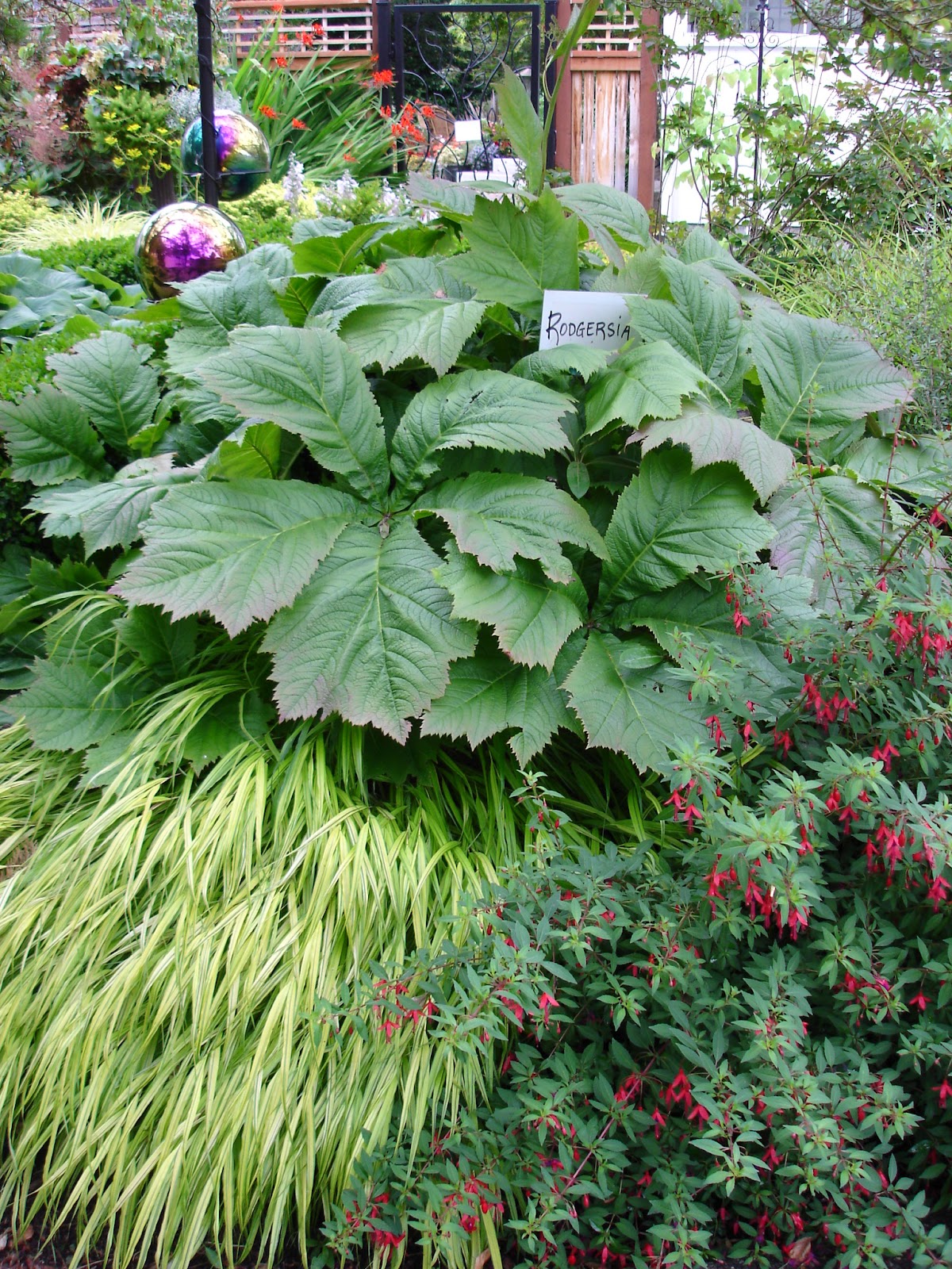 The Outlaw Gardener Vassey Nursery A family affair