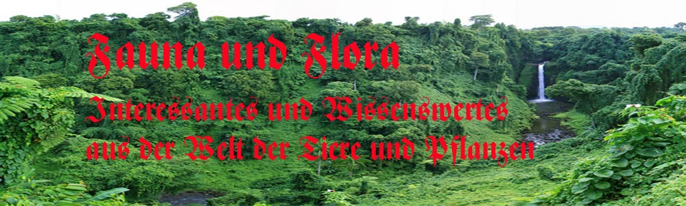 Rettung der Fauna und Flora