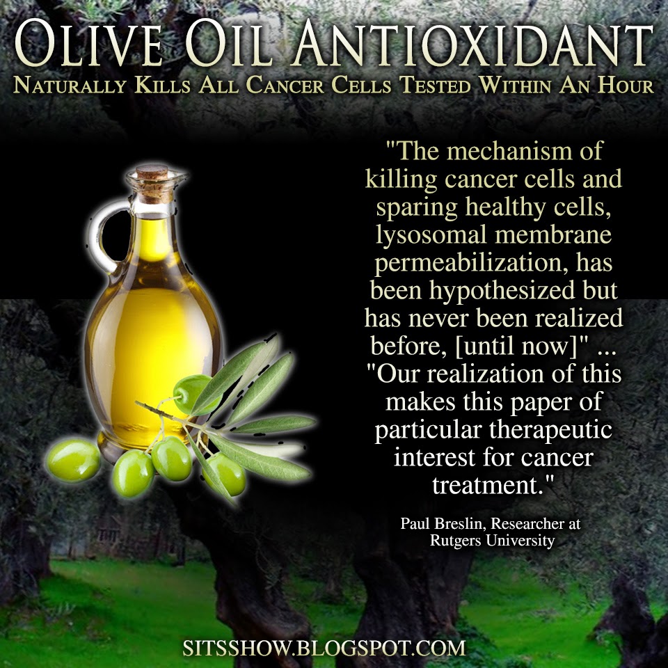 Olive Oil Antioxidant Naturally Kills All Cancer Cells Tested Within An