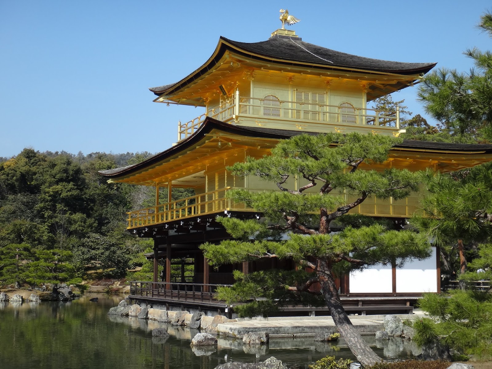 Kyoto: Kinkakuji Golden Pavilion (Day 1) in Japan | Lense Moments