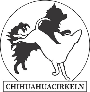 ChihuahuaCirkeln