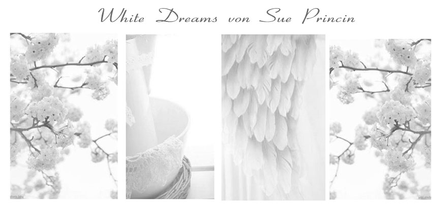 White Dreams von Sue-Princin