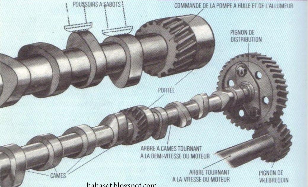Tovaglioli Da Cocktail 20 Pezzi 25x25 Cm - Illustrati Con Figure E Bottiglie Di Vino, Senza Testo - Foto 10