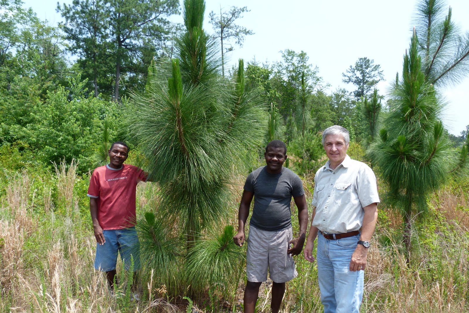 Dewberry Lands Visitors