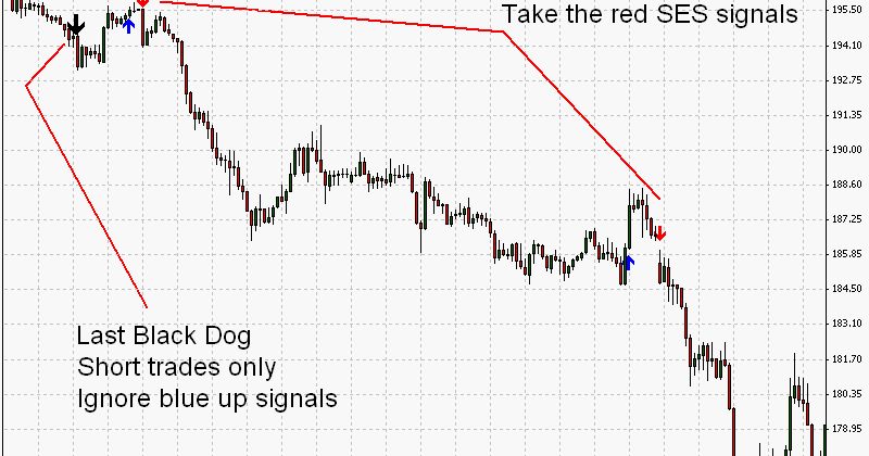 Black dog trading system