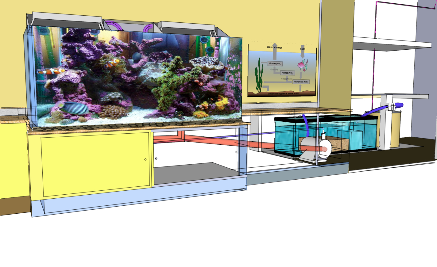 Richard Osborn Life Science Lab Marine Aquarium Exhibit