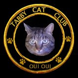 Tabby Cat Club