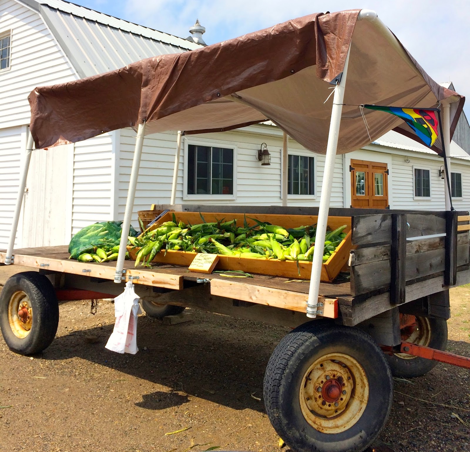 Only in The Republic of Amherst You Can Run But