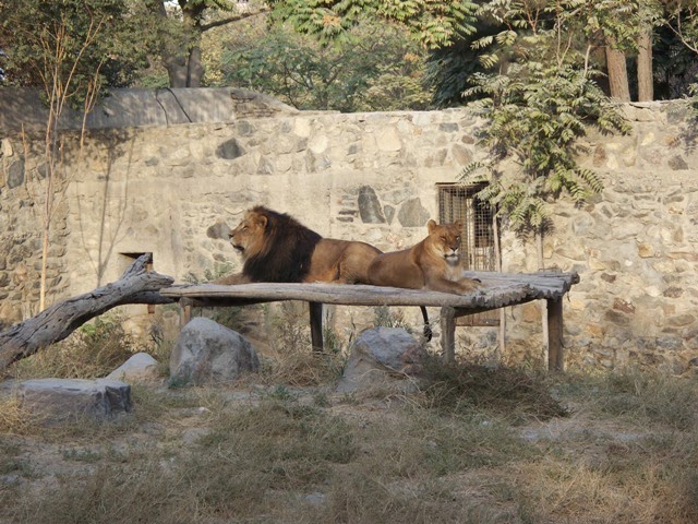 48 hours in Kabul The Travelers World