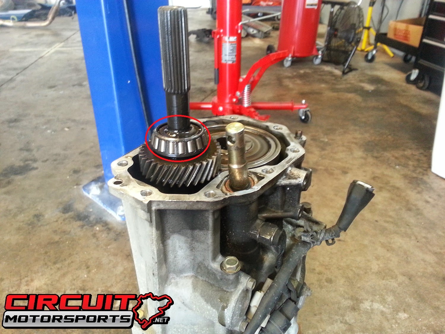 Circuit Motorsports FlatOut Subaru WRX Transmission Repair Orlando