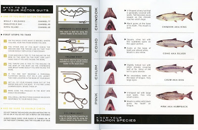 Know Your Salmon Species Information