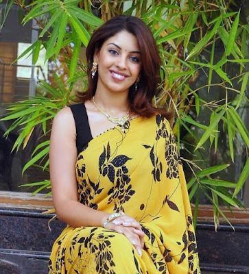 richa gangopadhyay in saree hot images