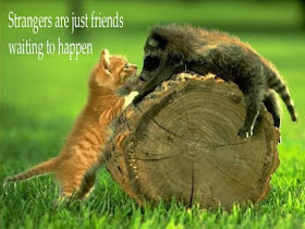 Quotes About Friendship (Depressing Quotes) 0031 10