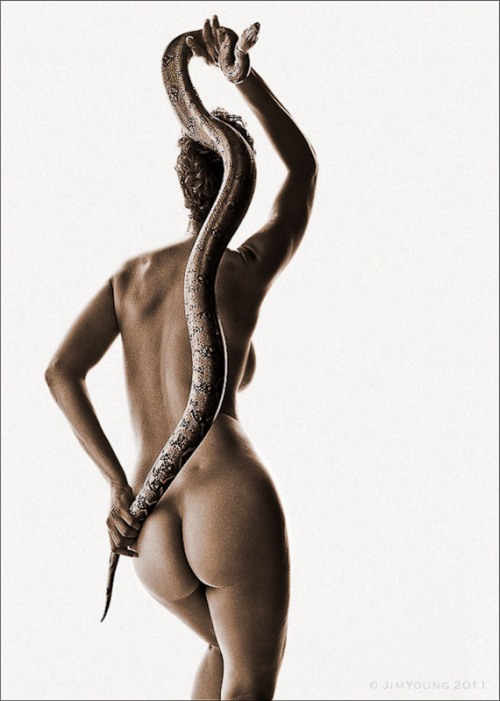 jim young fotografia mulheres modelos nuas eroticas sexy cobra