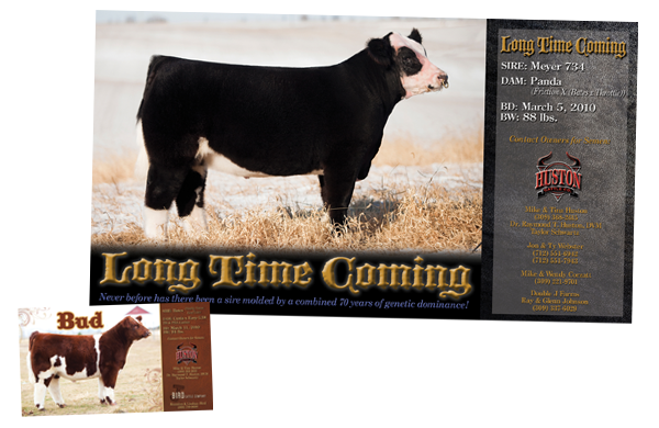 ... the maternal sib to Long Ti...