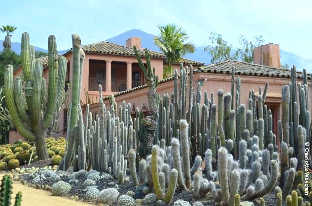 Wow Gardens Of The World I Lotusland Near Santa Barbara California