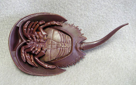 horseshoe crab plush
