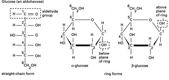 download glucose structure for free download glucose structure for free