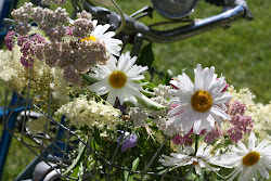 flower basket