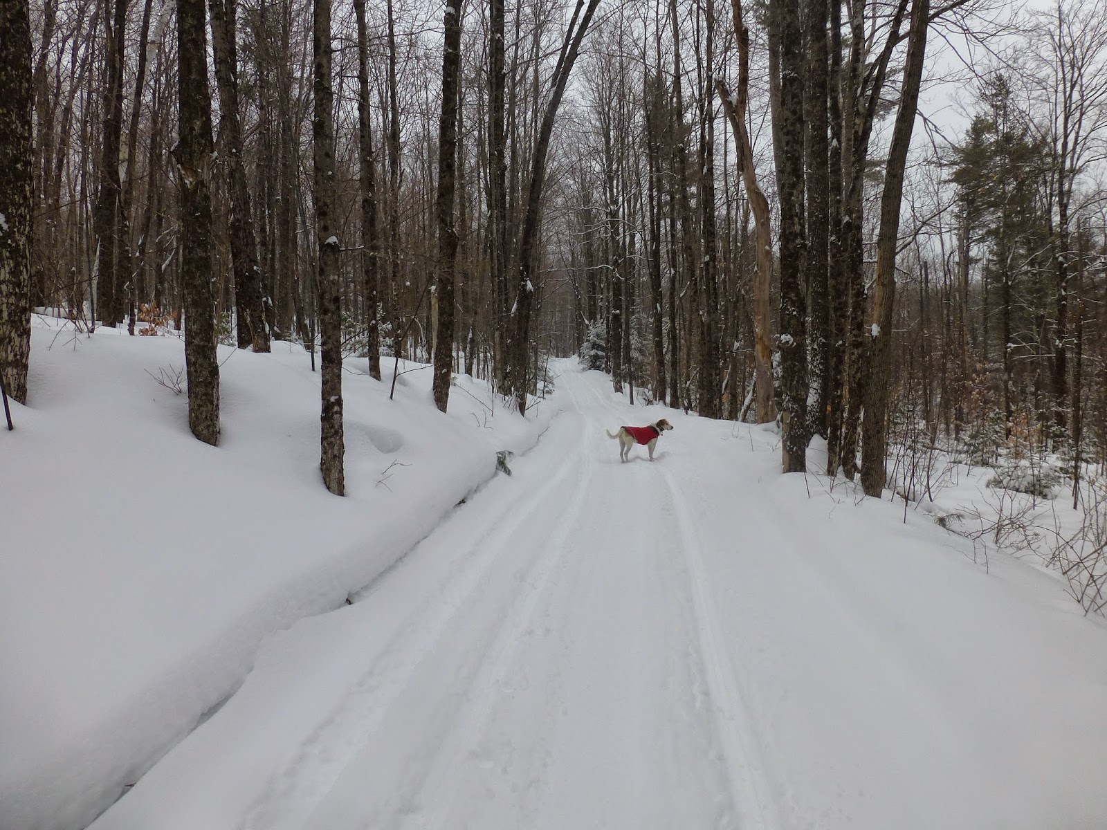 Off on Adventure XC Ski Schroon Lake Snowmobile Trail System 2/8/15