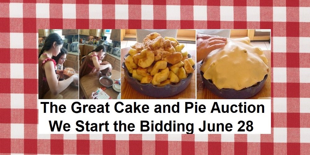 The Great Cake & Pie Auction