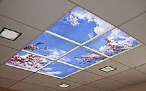 تمتص يفوز تحديد الاسقف المستعارة بالانجليزي Palmettofitnessandhealth Com