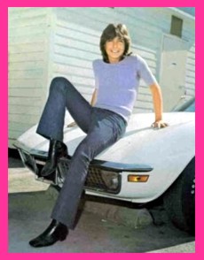 DAVID CASSIDY E SEU AMADO CORVETTE BRANCO