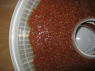 flax seed cracker batter on dehydrator tray