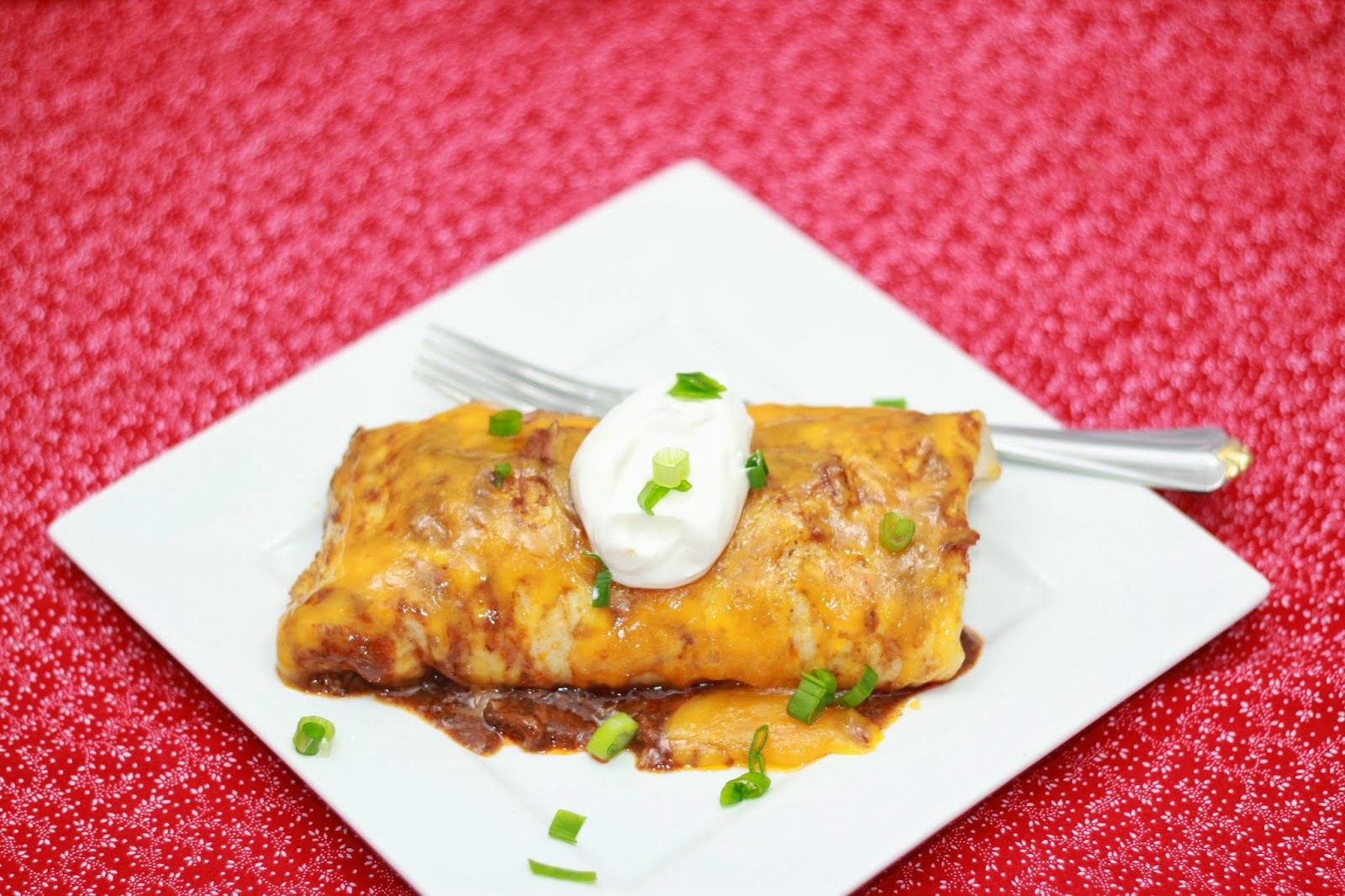 Michelle's Tasty Creations Chili Colorado Burritos