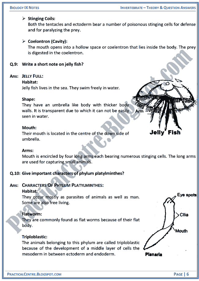 invertebrata-theory-and-question-answers-biology-ix