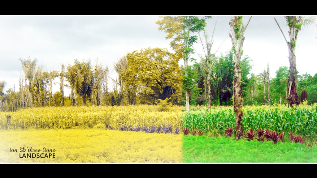 Landscape
