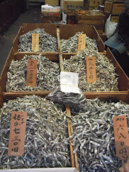 Tsukiji Fish Markets