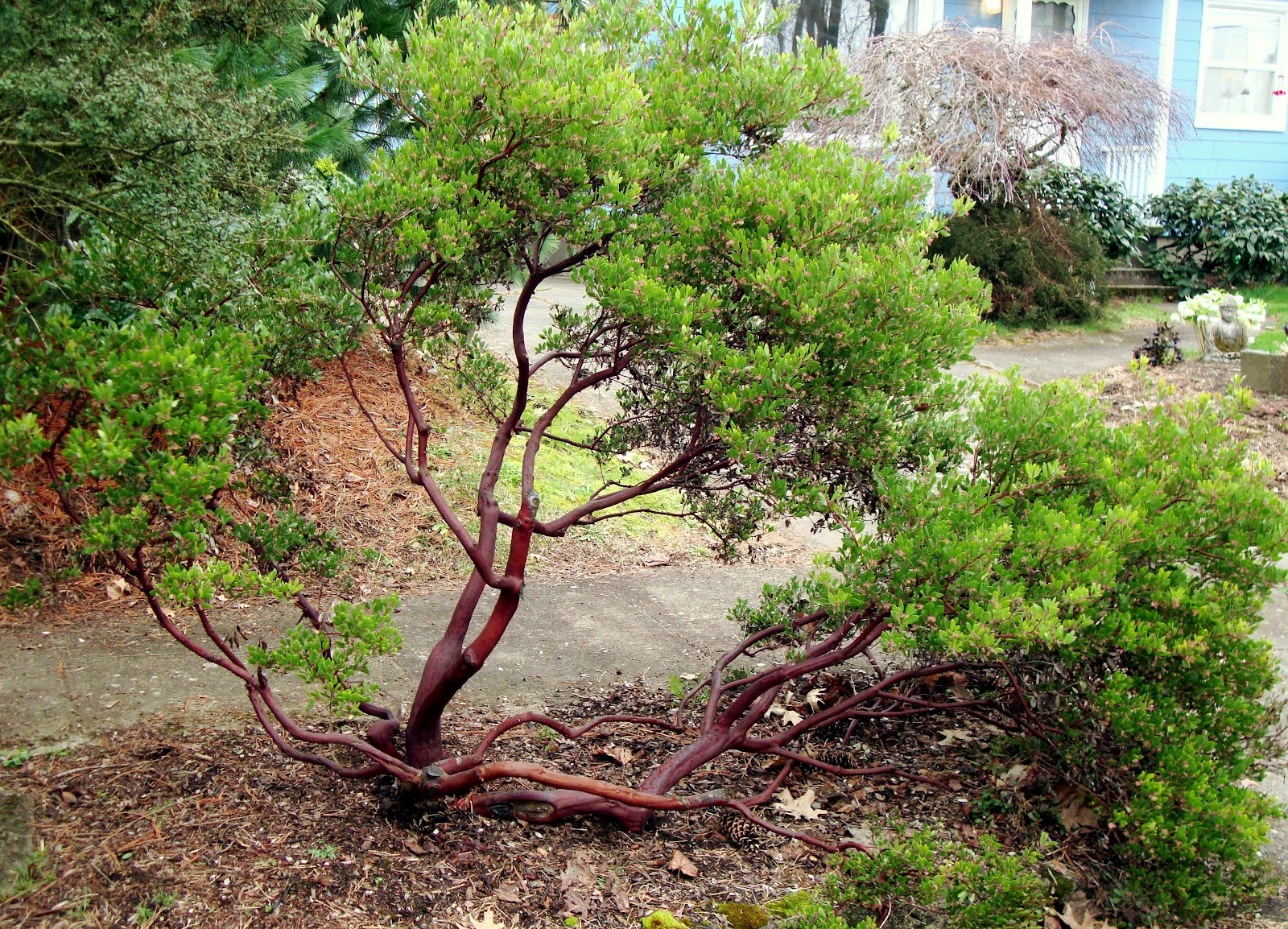 danger garden A walk with a purpose…taking inventory of the