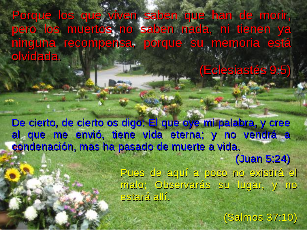 2Puntos y Coma: Porque los que viven saben que han de morir