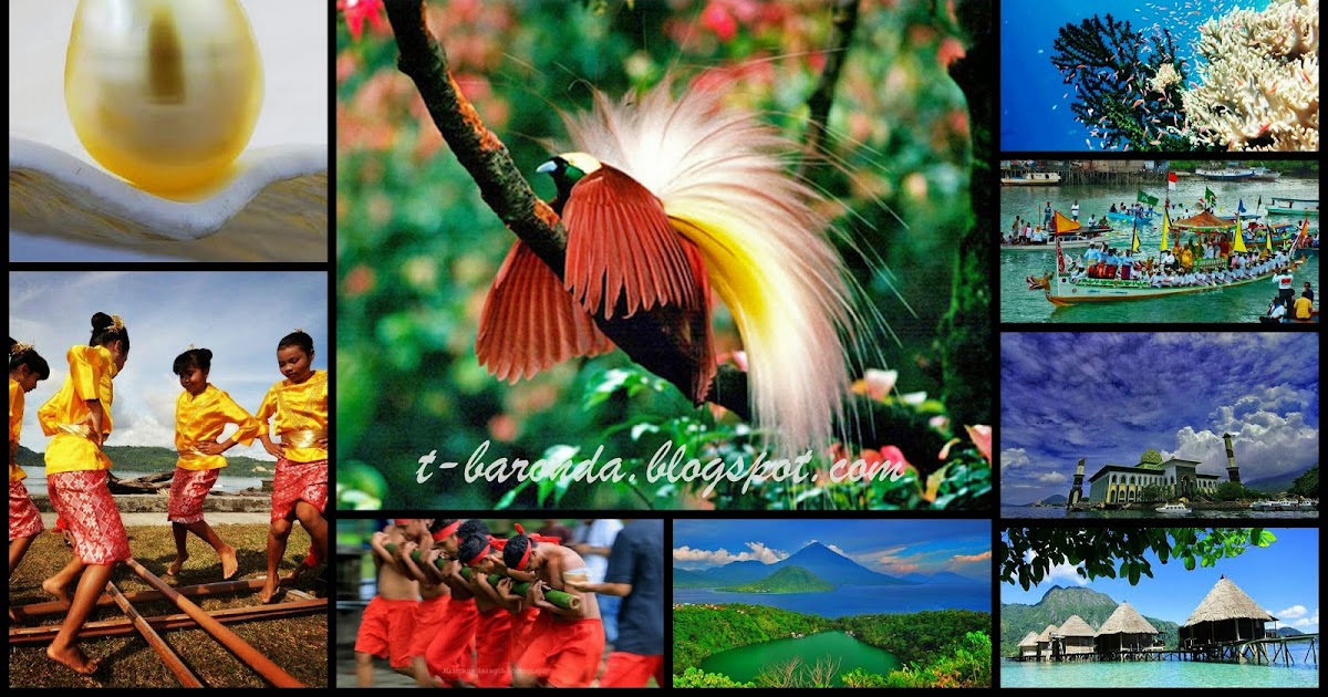 Sejarah Singkat Tentang Maluku | BACKPACKER