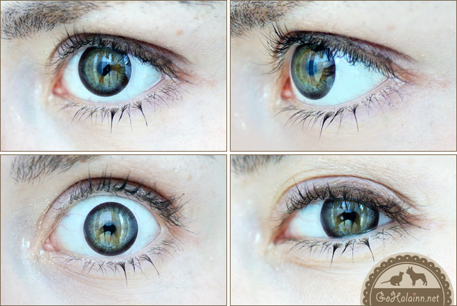 GEO Geolica Euro Circle Dark Brown Circle Lenses Review GEO Geolica Euro Circle Dark Brown Circle Lenses Review
