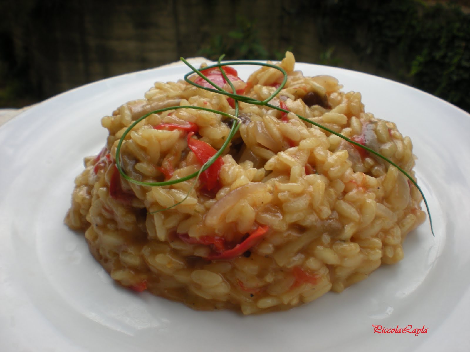 Risotto ai funghi misti e curry Profumo di Sicilia