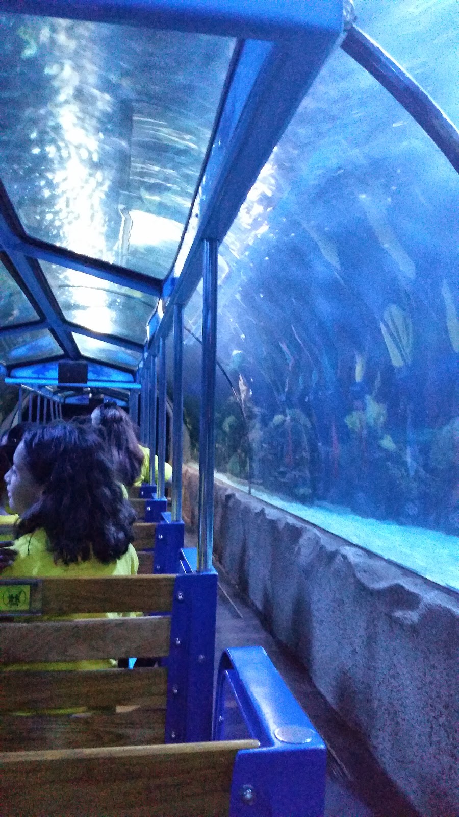 Houston’s Downtown Aquarium Review