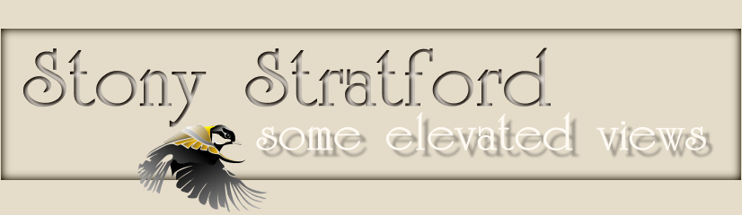 Stony Stratford - some elevated views