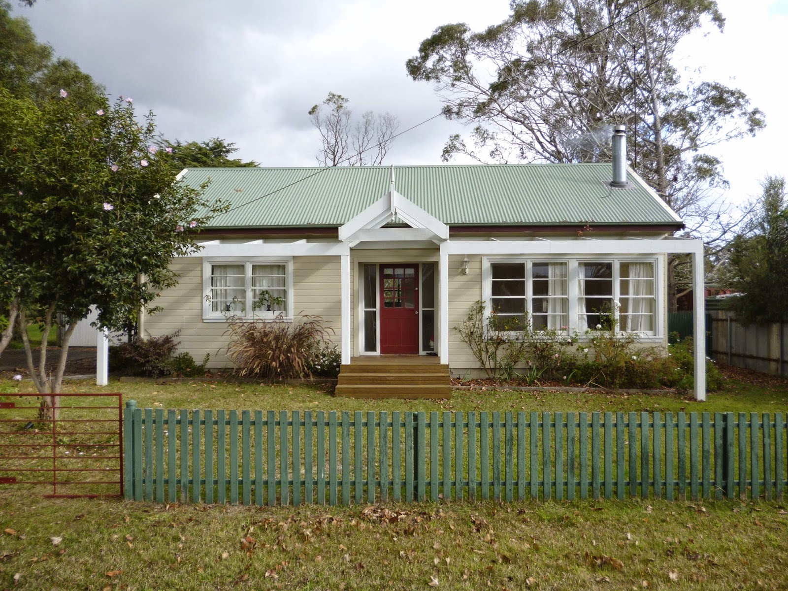 English Laurel I Love How Well These Shape Into A Hedge It Is An