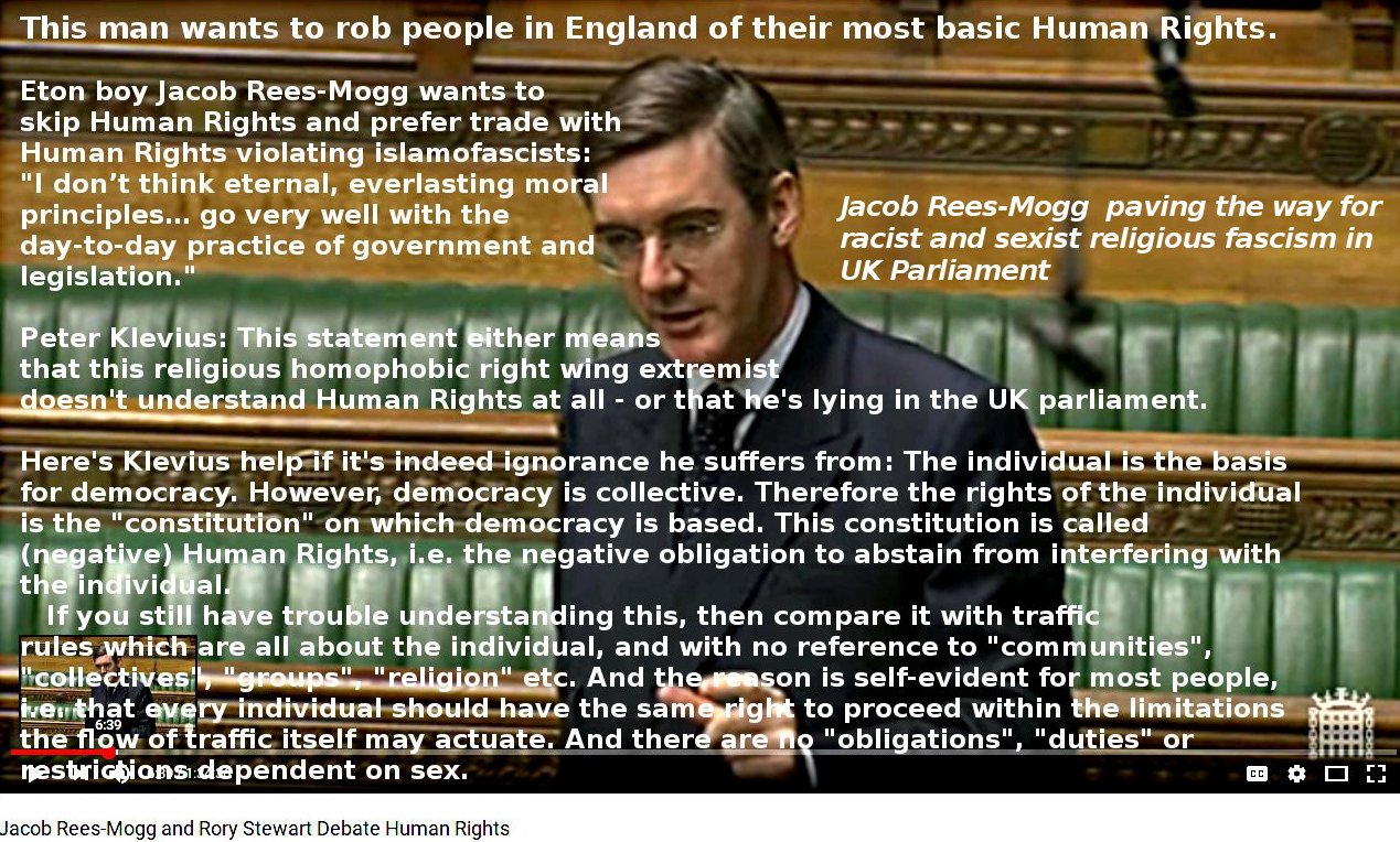 PM candidate Rees-Mogg: Germans needed Human Rights, we don't. Klevius: I really think you do.