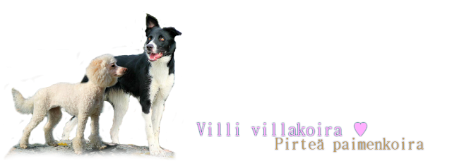 Villi villakoira & Pirteä paimenkoira
