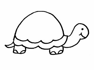 Turtle Coloring Pages