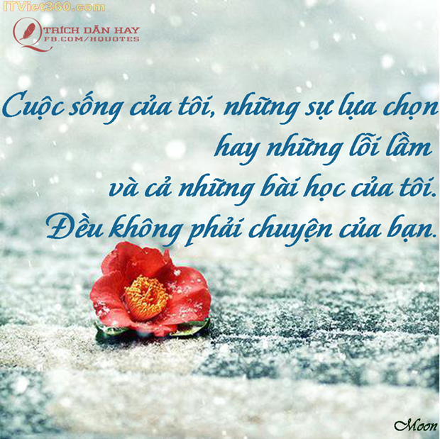 facebook-trich-dan-hay-tinh-yeu-cuoc-song-16.png