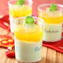 Membuat Puding Lidah Buaya | universal cara cara membuat aneka kreasi puding Membuat Puding Lidah Buaya | universal cara cara membuat aneka kreasi puding
